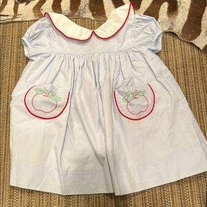 Light Blue Dress with Apple Embroidery